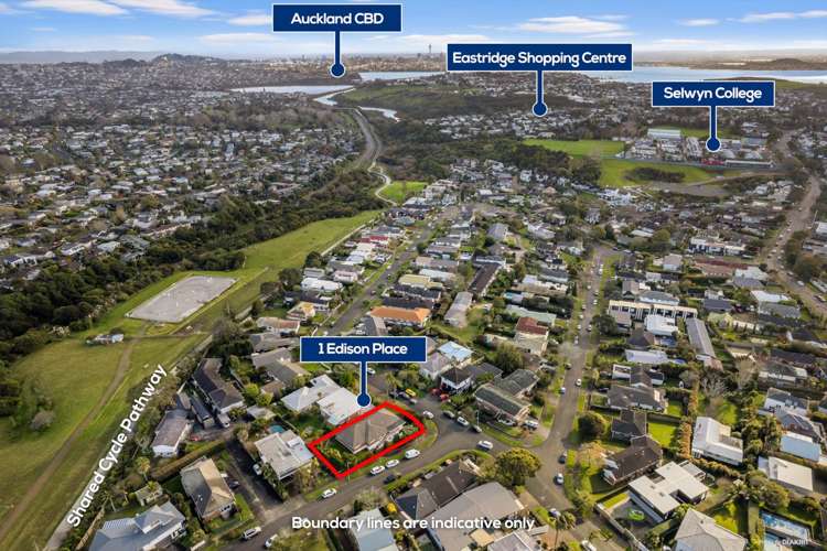 1 Edison Place Saint Heliers_20