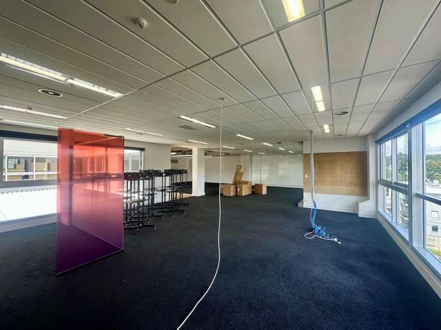 7 Falcon Street Parnell_4