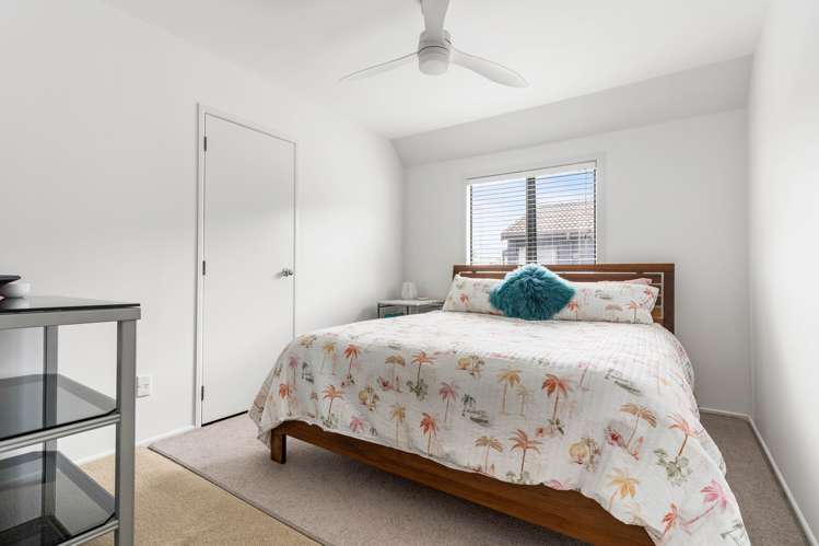 31a Campbell Road Mount Maunganui_11