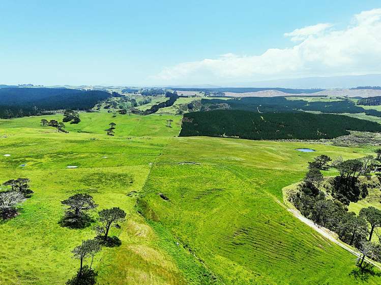 Lot Lot 2 Scottys Camp Road Dargaville_9