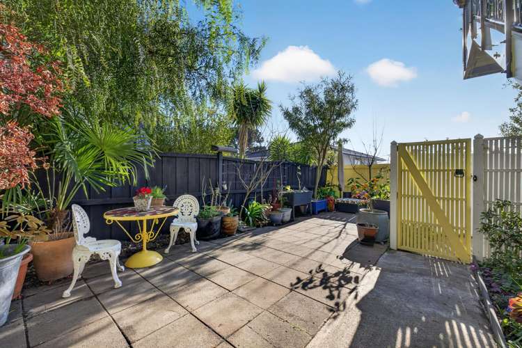 2/31a Huntsbury Avenue Huntsbury_26