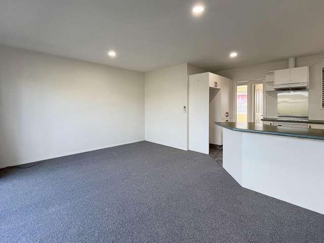 5/91 Peverel St Riccarton_2