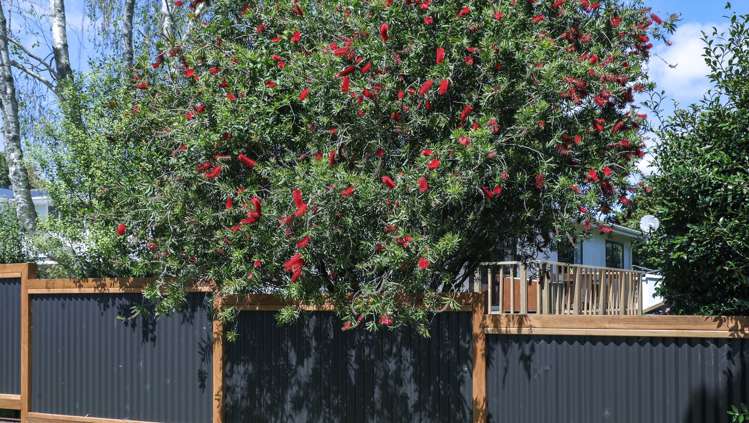 73 Mahi Road Te Kauwhata_25