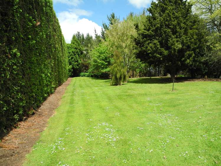 124 Bowman Road Te Awamutu_5