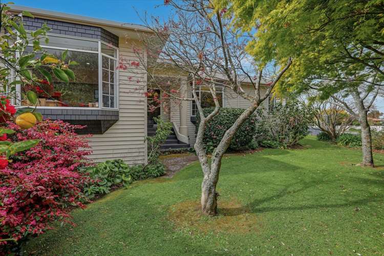 71 Fraser Street Tauranga South_11