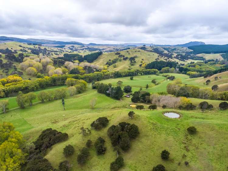 3160 Masterton Castlepoint Road Mangapakeha_14