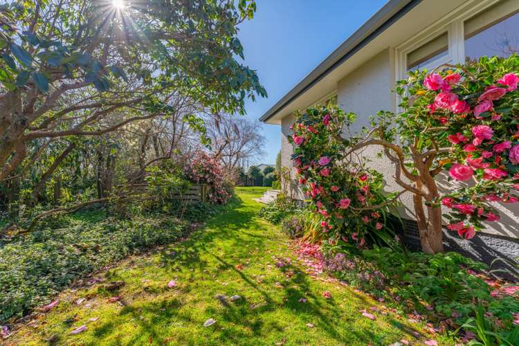 41 Connolly Street Geraldine_19