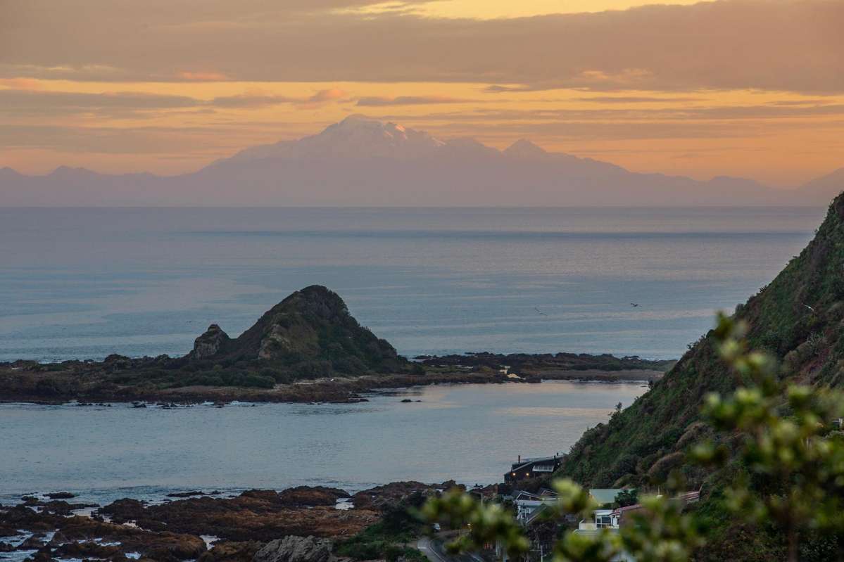 239 Houghton Bay Road_5