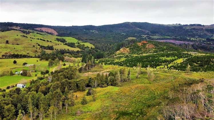 Wekaweka Road Waimamaku_12