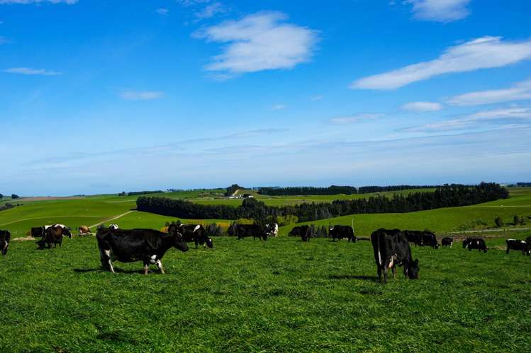 696 Jacks Hill Road Waimahaka_15