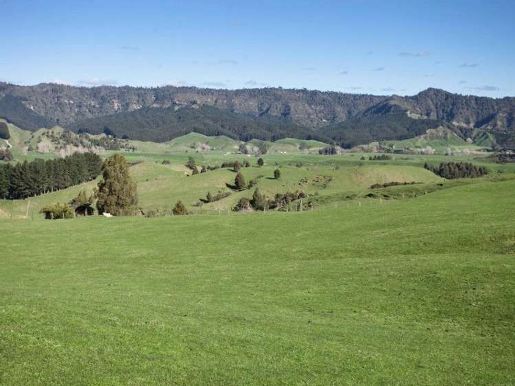 2286 State Highway 3 Mahoenui_16