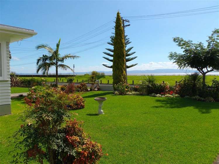 207 Fergusson Drive Thames_19