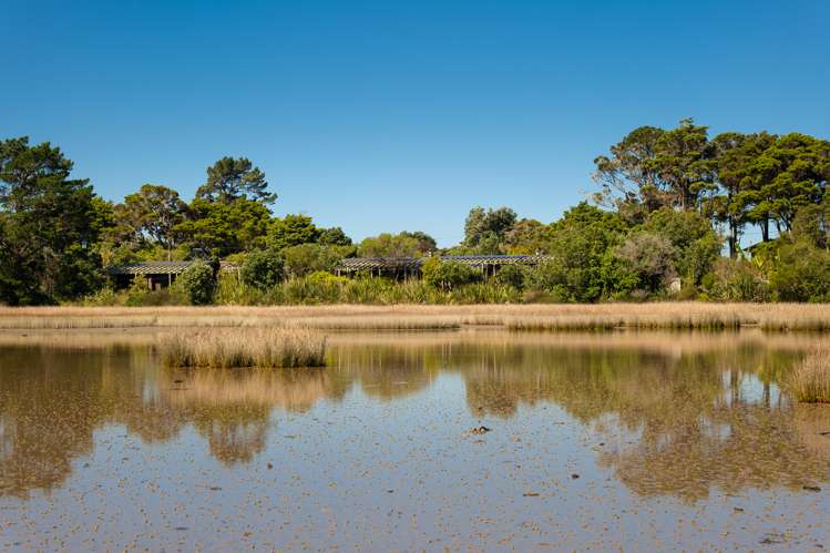 30 Totara Avenue Collingwood_6