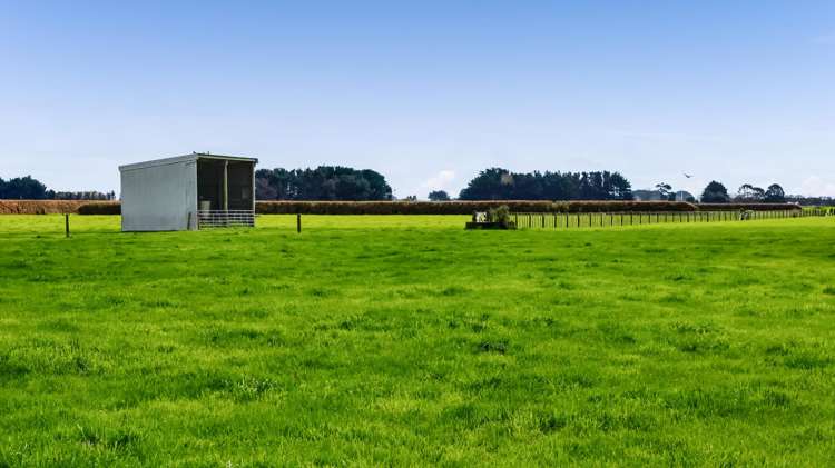 0n Ngarongo Road Normanby_45