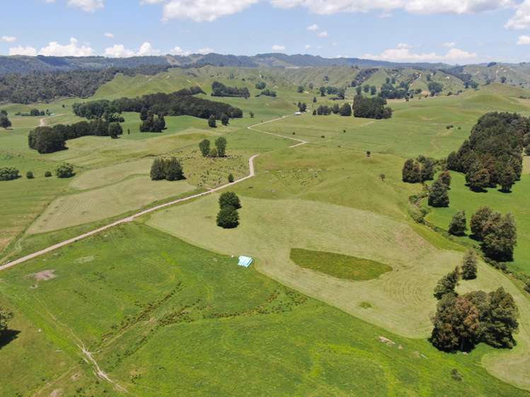 24 Pukeuha Road Aria_20