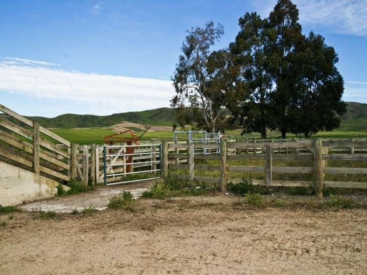 587 Eastern Road North Otago Surrounds_9