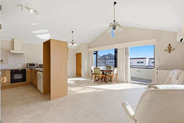 22A Miro Street Mount Maunganui_2