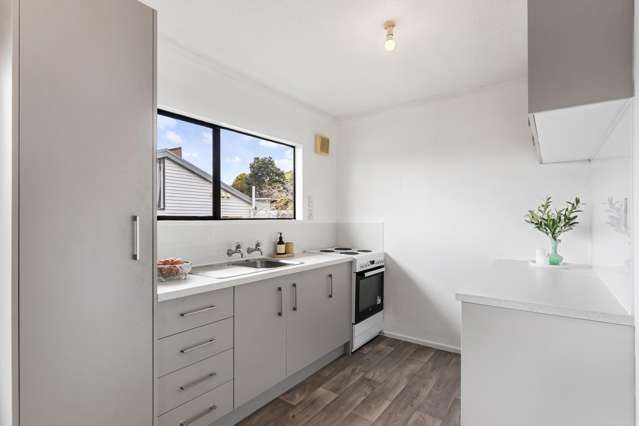 62 Truscott Avenue Johnsonville_2