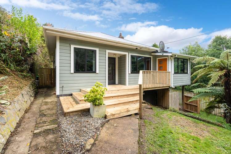 62 Montague Street North East Valley_21