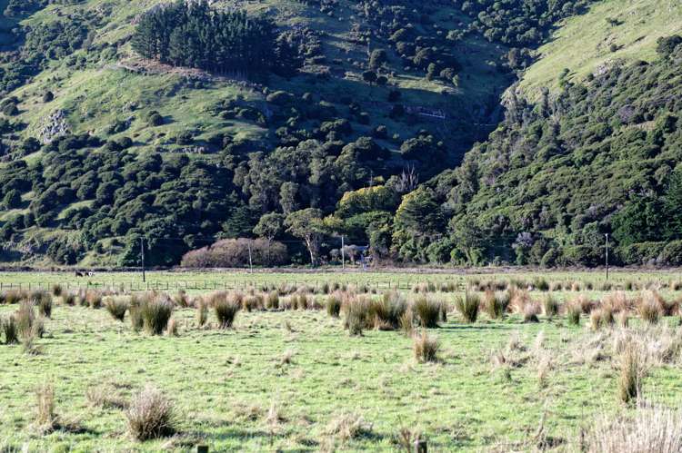 115 Dalglishs Road Le Bons Bay_11