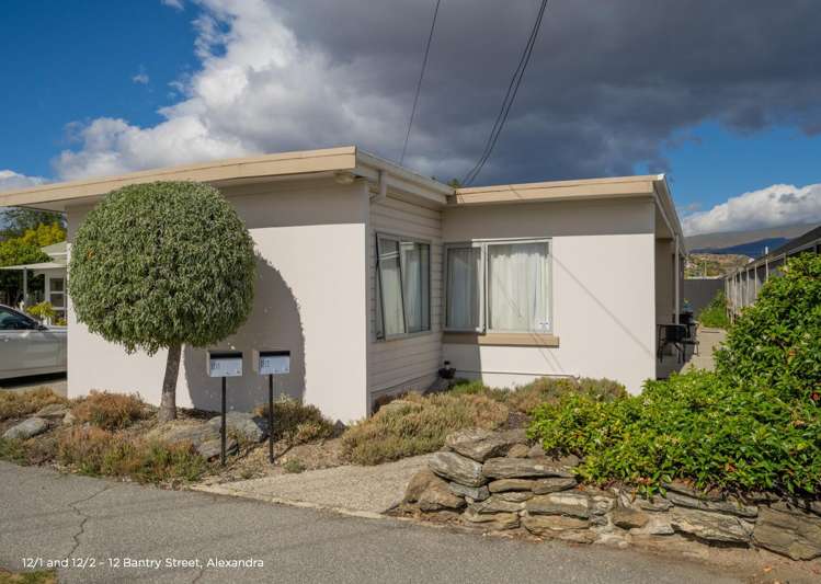 40 Shannon Street and 12 Bantry Street Alexandra_10