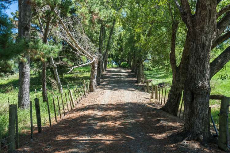 26 Doctors Hill Road Maungaturoto_27