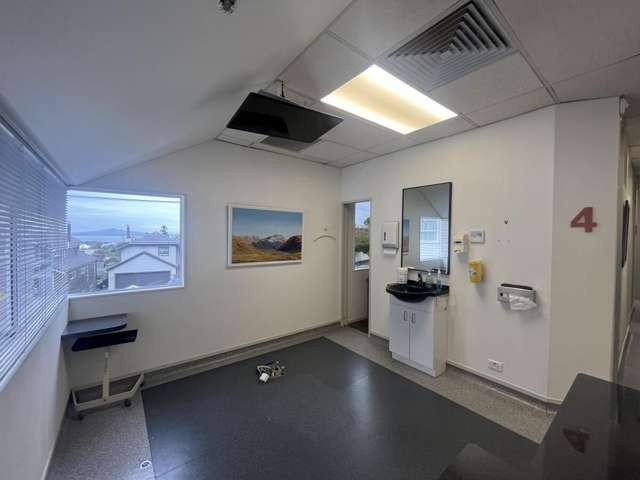 3 Ely Avenue Remuera_3