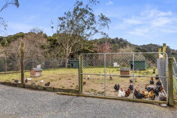 5209 Highway 22 Waingaro_40