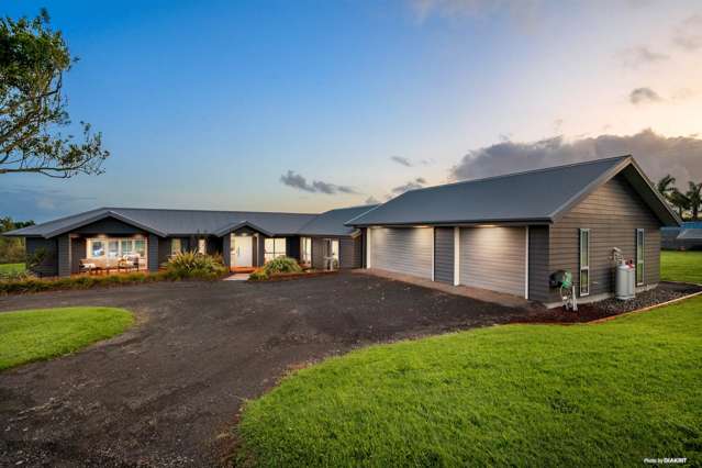 313 Trig Road Tuakau_1