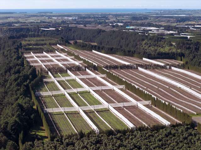 852 Rangiuru Road Rangiuru_2