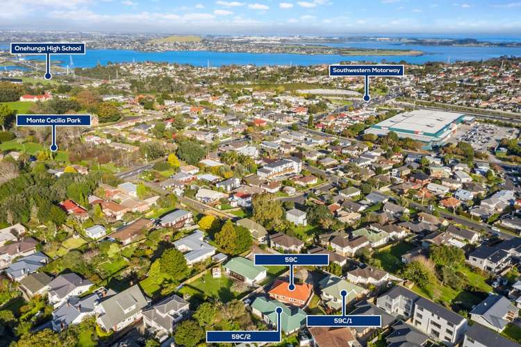 59C Hillsborough Road Hillsborough_5