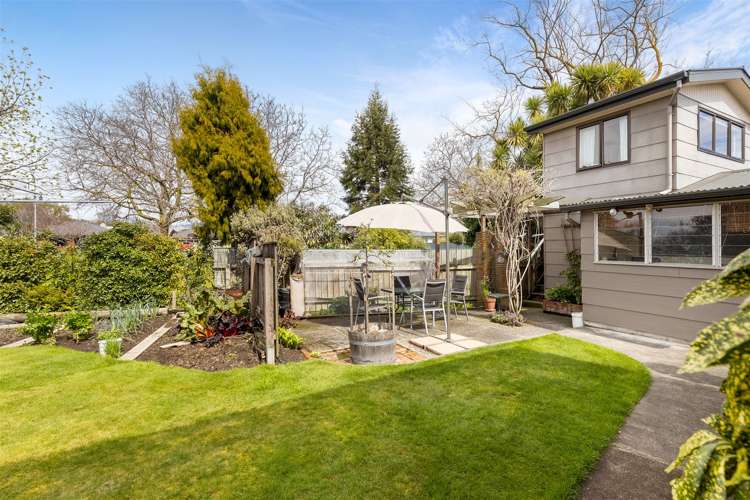 6 Owen Place Springlands_20