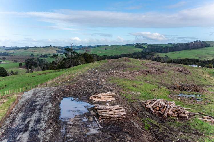 Sterling Road Paparoa_8