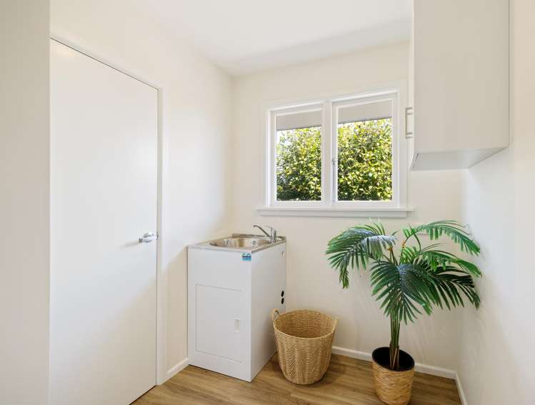 47 Emlyn Place Avondale_10