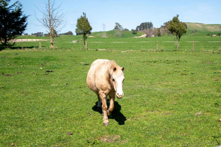 196 Ash Pit Road Rerewhakaaitu_22