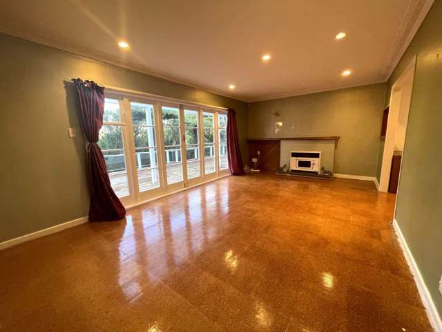 163 Scenic Drive Titirangi_3