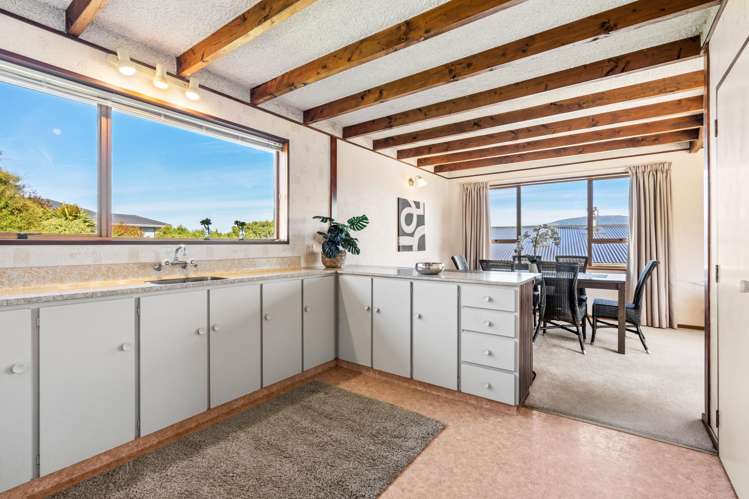 224 Larnach Road Waverley_11