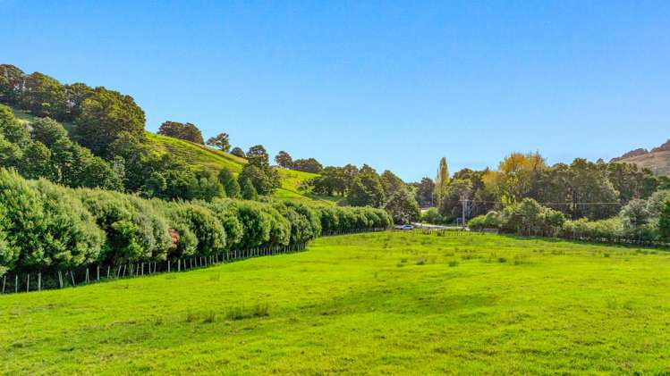 704 Whangaripo Valley Road_0