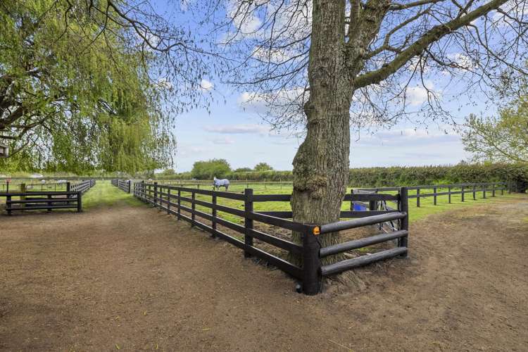 197 Peake Road Cambridge_14