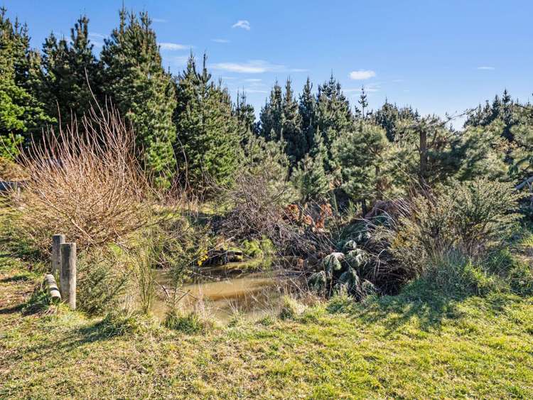 87 Sladdens Bush Road Coopers Creek_8