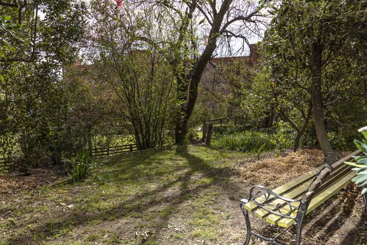 20b Hackthorne Road Cashmere_24