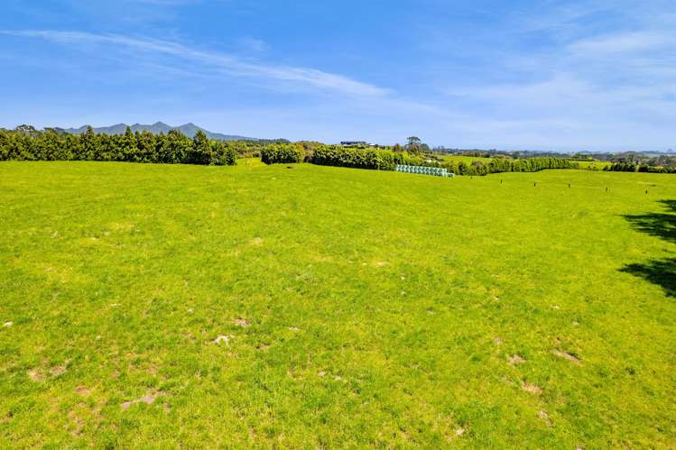 1627 Mangorei Road Korito_25