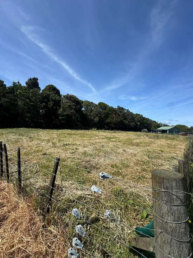 49A Mace Street Waitara_1