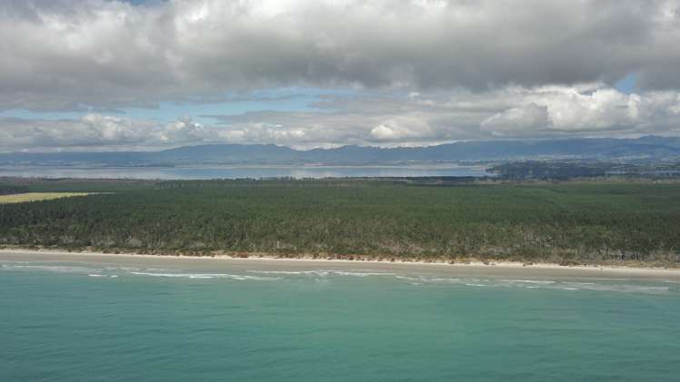 Beach Front Matakana Island_7