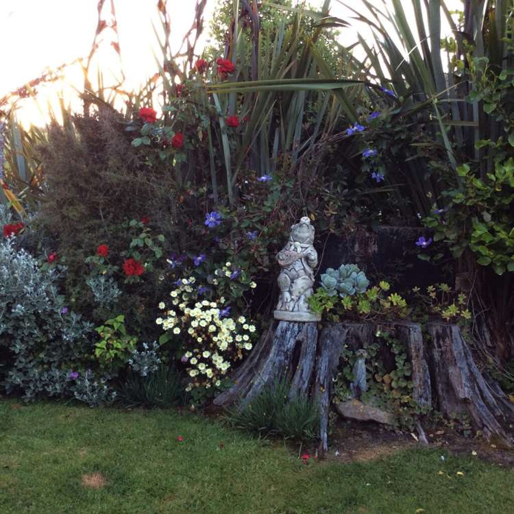 1342 Coast Road Toko Mouth_12