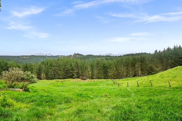 214 Milne Road Ruatangata_17