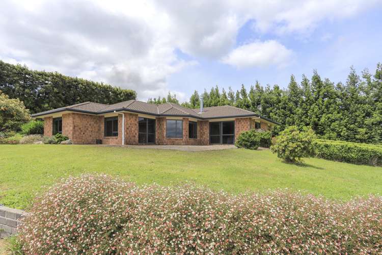 416 Youngson Road Whakamarama_3