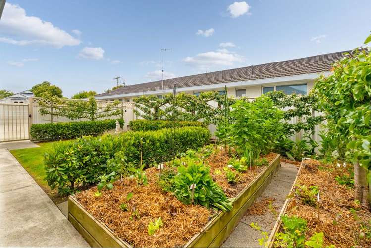 20a Worksop Road Masterton_21