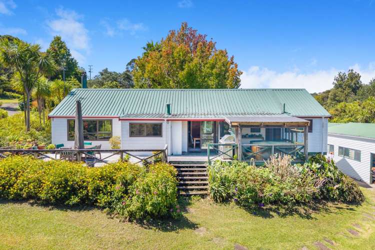 251 Upper Harbour Drive Greenhithe_5