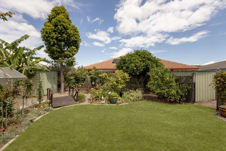 172 Pacific View Road Papamoa_7
